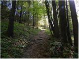 Vinska Gora - Ramšakov vrh